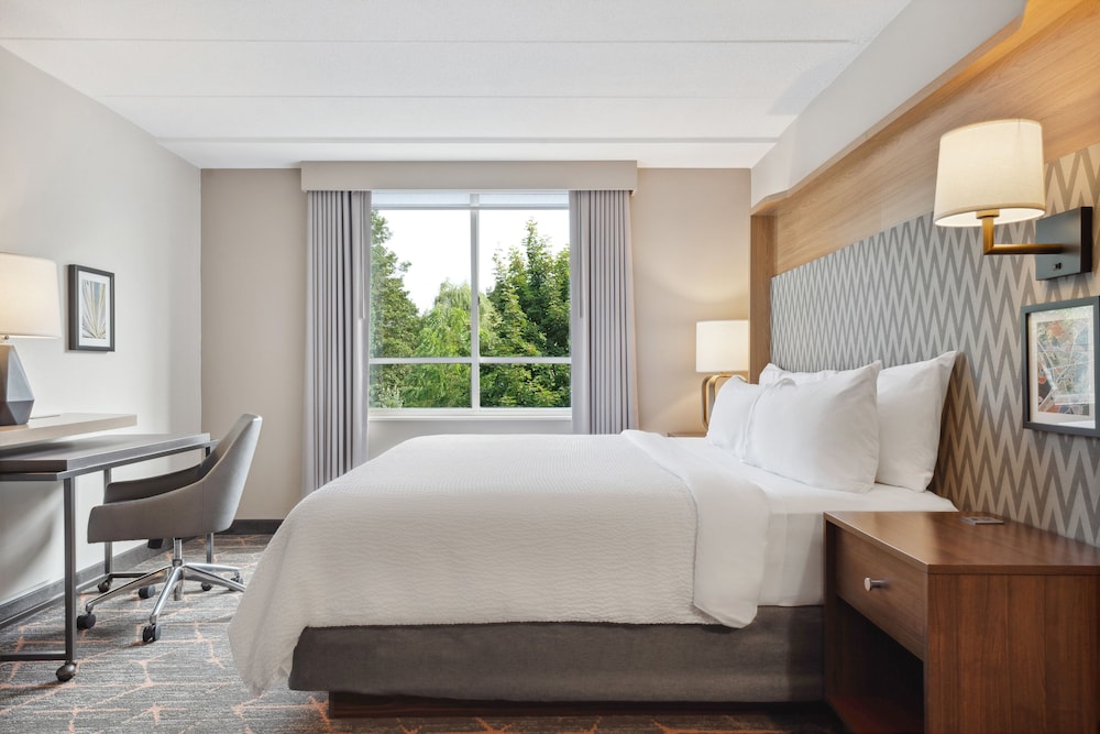Standard Room, 1 King Bed, Accessible (Communication, Transfer Shower) - Photo 9