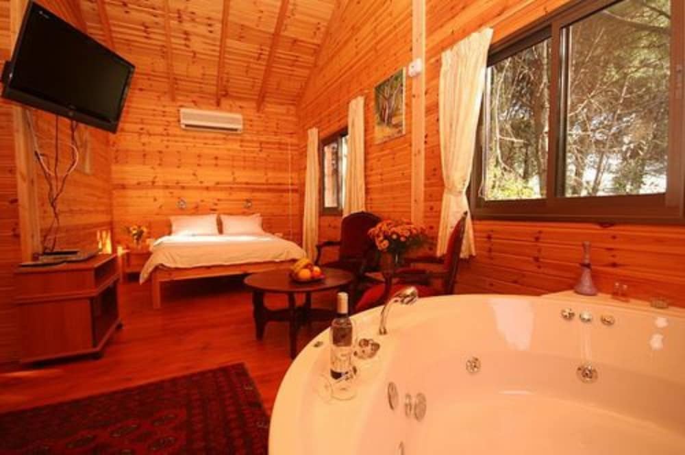 Alon Cabin photo 2