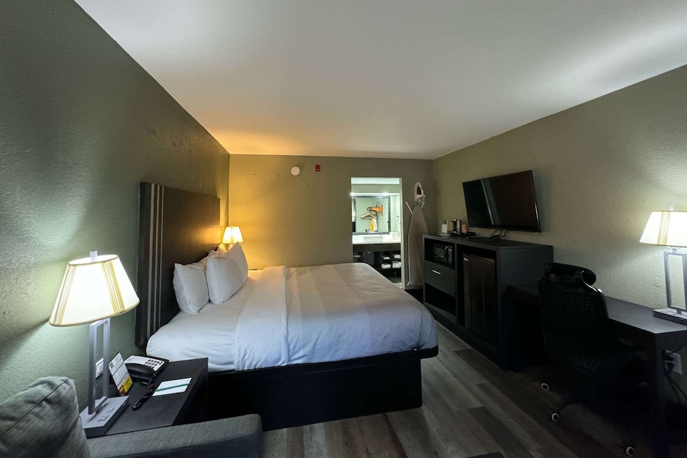 Room, 1 King Bed, Accessible, Non Smoking - Photo 5