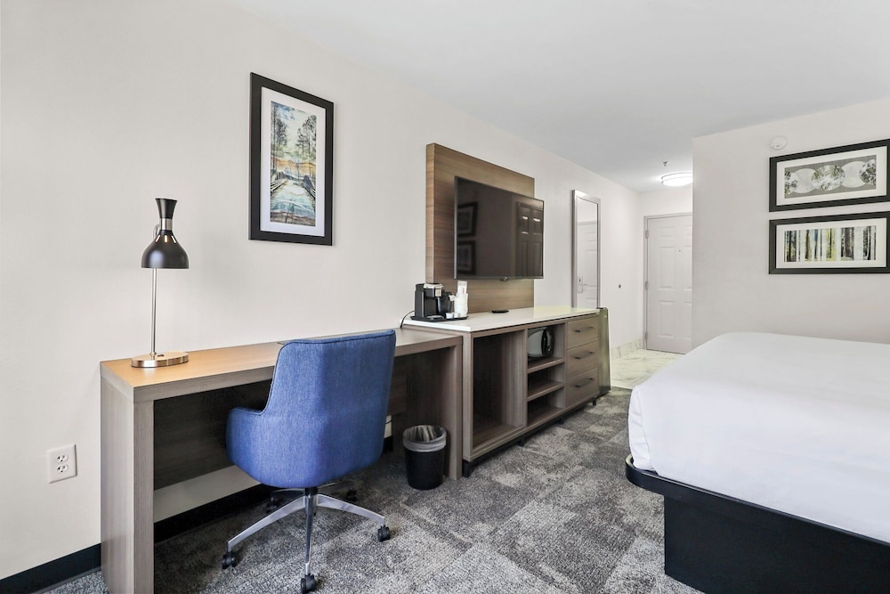 Room, 1 King Bed, Non Smoking - Photo 3