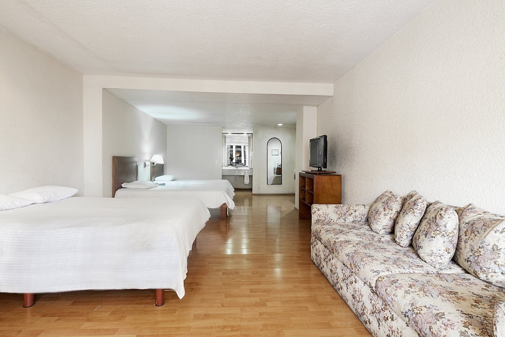 Senior Quadruple Room photo 2