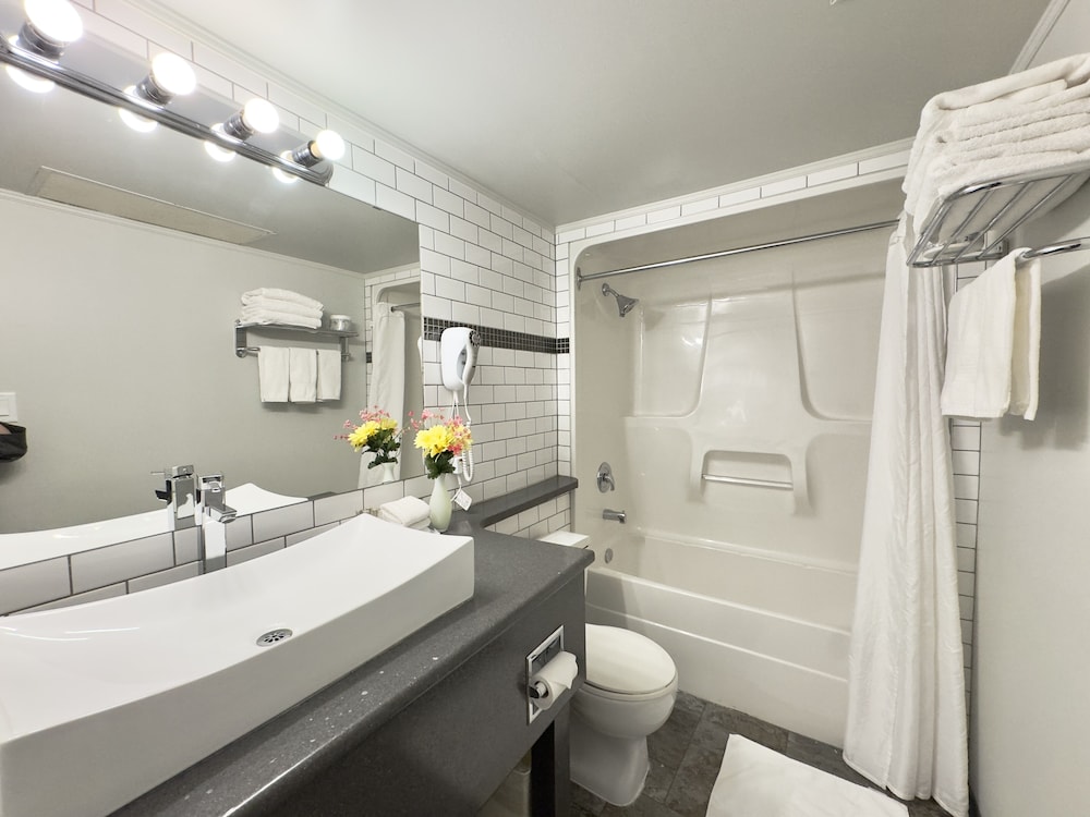 Standard Single Room, 1 Queen Bed - Photo 2