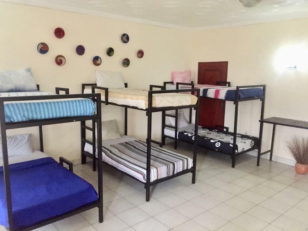 Basic Shared Dormitory photo 1