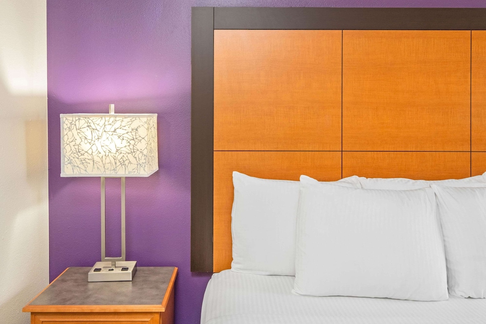 Deluxe Suite, 1 King Bed, Non Smoking - Photo 7
