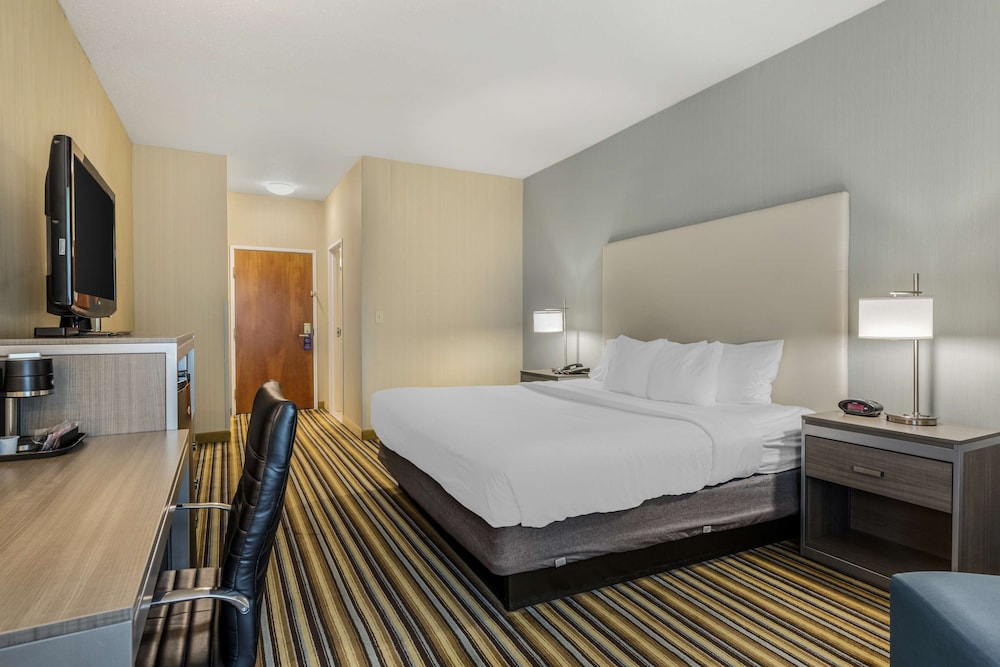 Standard Room, 1 King Bed, Non Smoking, Microwave - Photo 4
