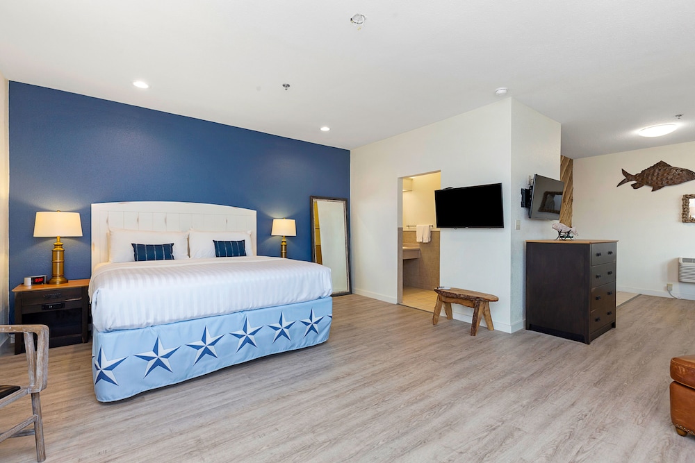 Suite, 1 King Bed photo 1