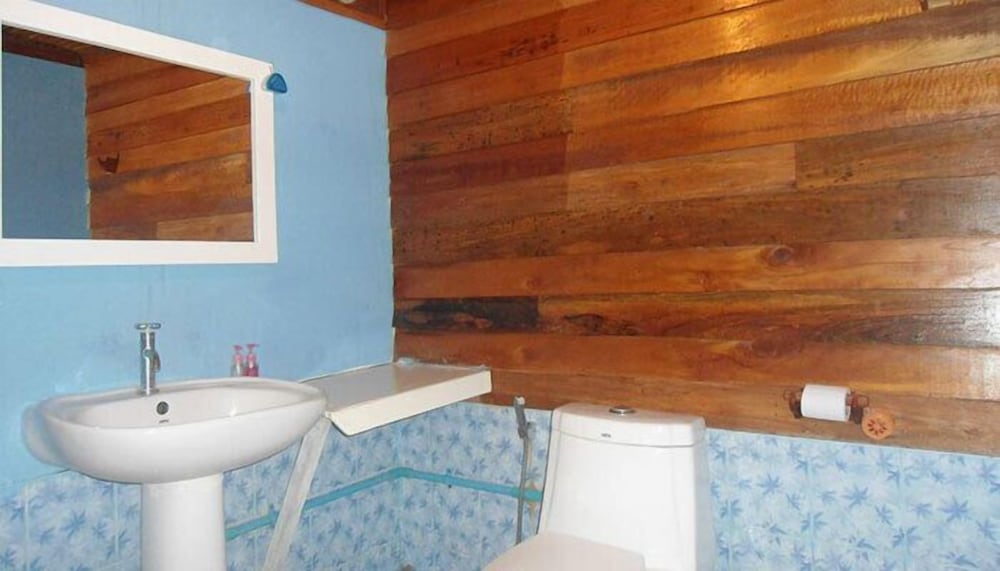 Deluxe  Bungalow photo 2
