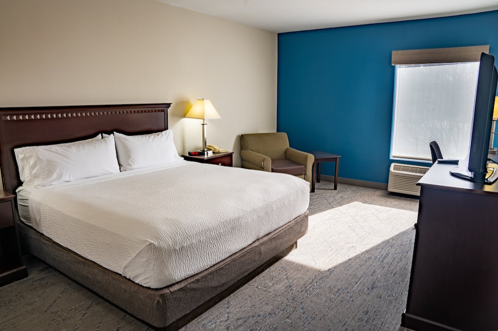 Standard Room, 1 King Bed, Accessible (Mobility, Roll-In Shower) - Photo 3
