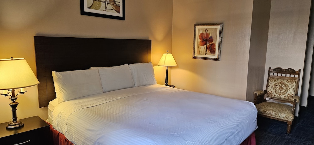 Deluxe Room, 1 King Bed photo 1