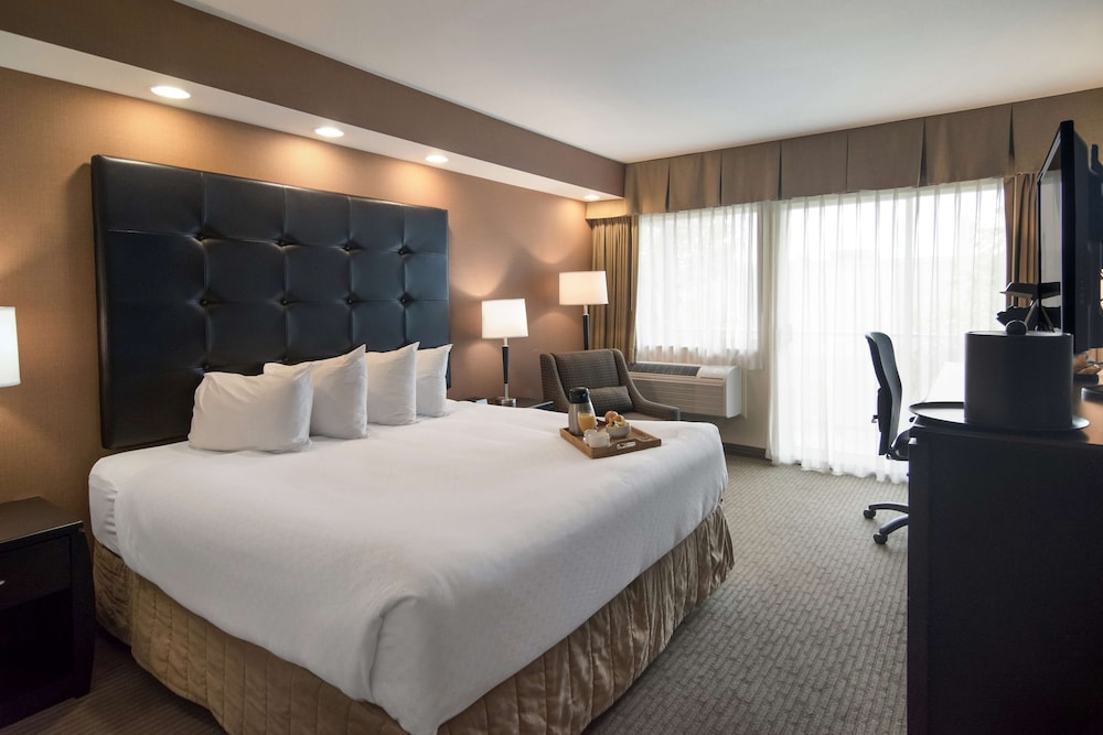 Standard Room, 1 King Bed, Accessible, Refrigerator & Microwave