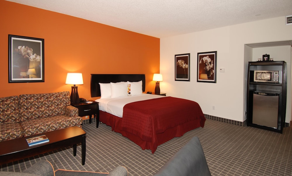 Executive Room, 1 King Bed, Non Smoking - Photo 4