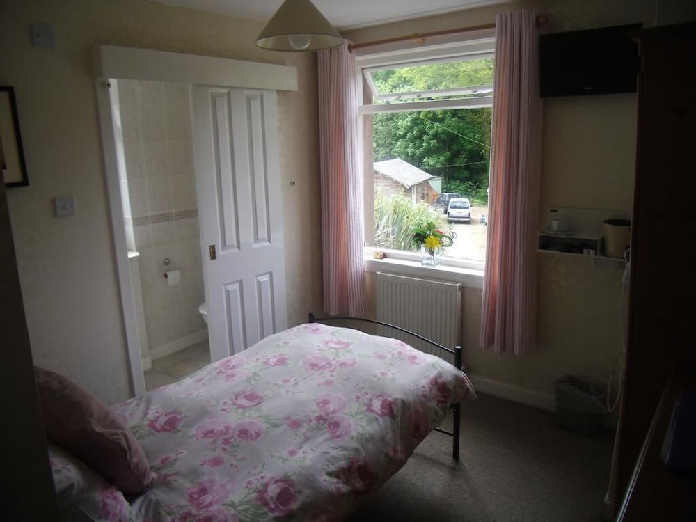 Large Single Room photo 2