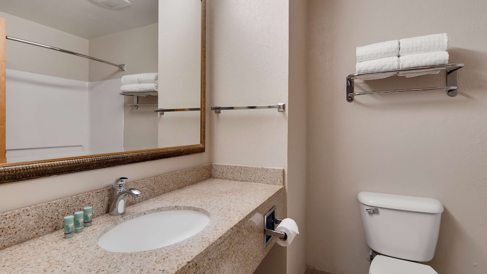 Standard Room, 1 King Bed, Non Smoking, Refrigerator & Microwave photo 3