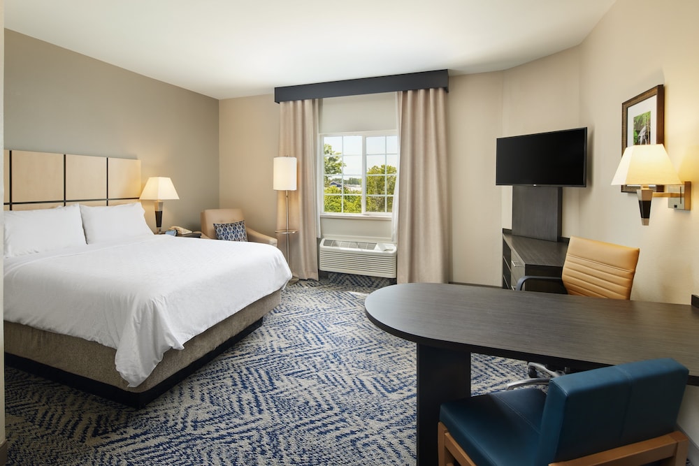 Studio Suite, 1 Queen Bed - Photo 1