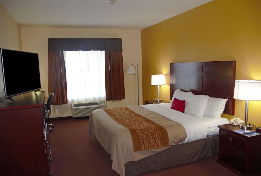 Room, 1 King Bed, Non Smoking - Photo 3