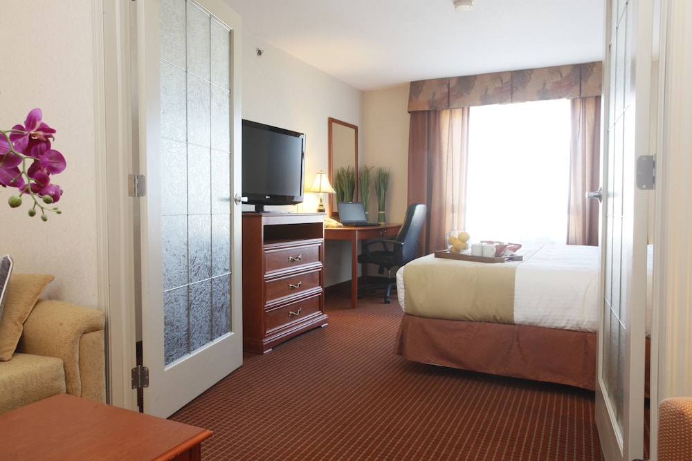 Deluxe Suite, 1 King Bed with Sofa bed photo 2