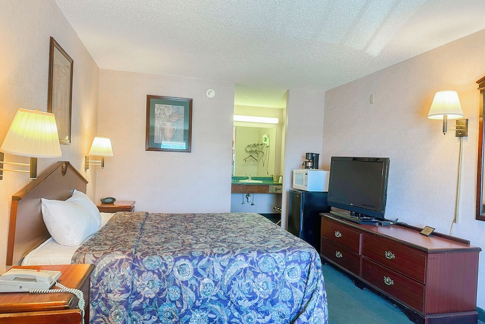 Suite, 1 King Bed, Smoking photo 1