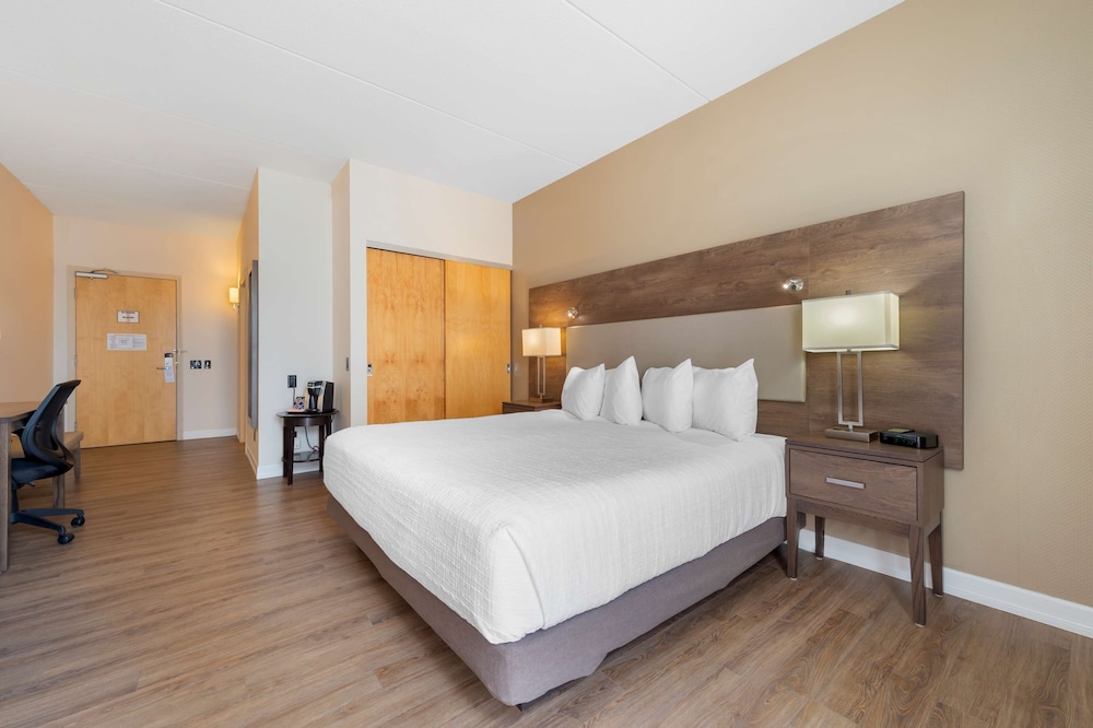 Standard Room, 1 King Bed, Refrigerator & Microwave, Park View photo 3