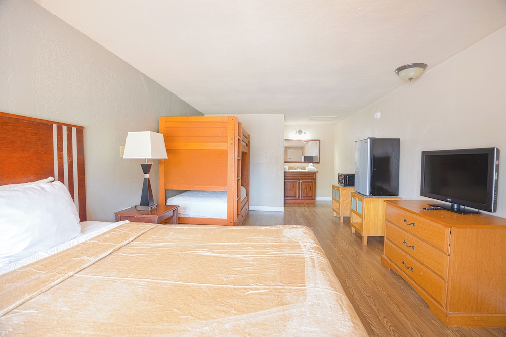 Family Studio, Multiple Beds photo 2