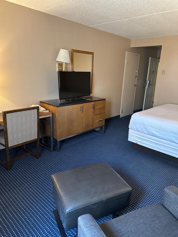 Basic Room photo 2