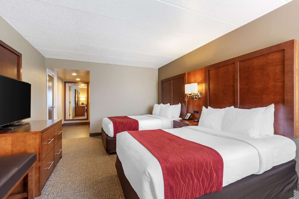 Suite, Multiple Beds, Accessible, Non Smoking photo 3