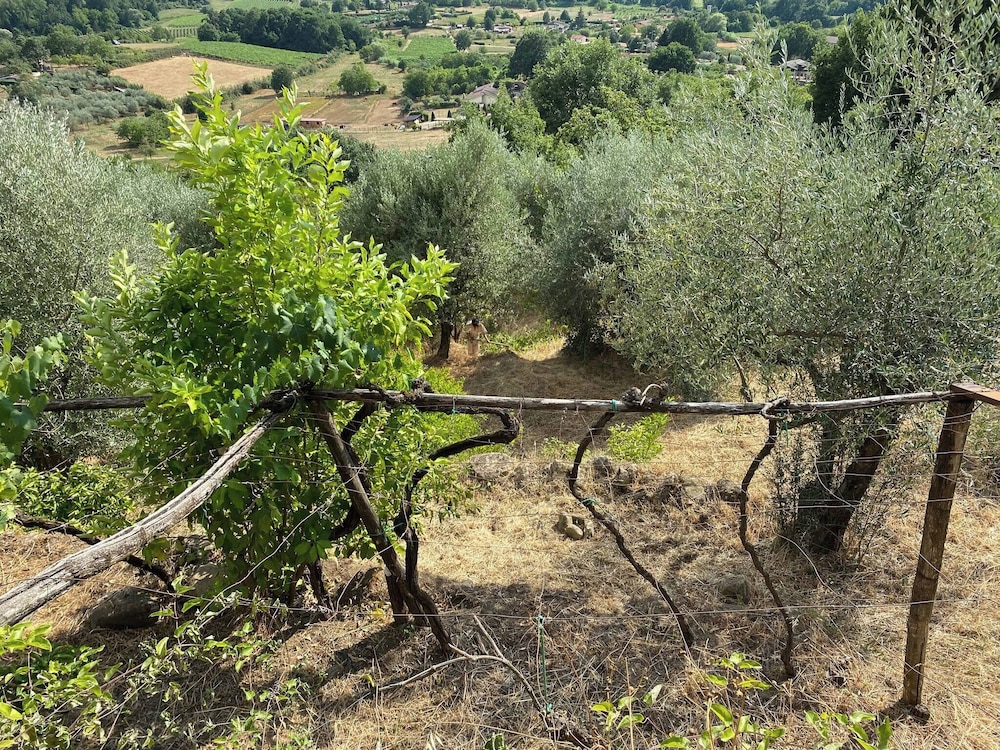 Hillside Home With Fantastic View - 7 Beds - Only 1h From Rome, Fotografia 42
