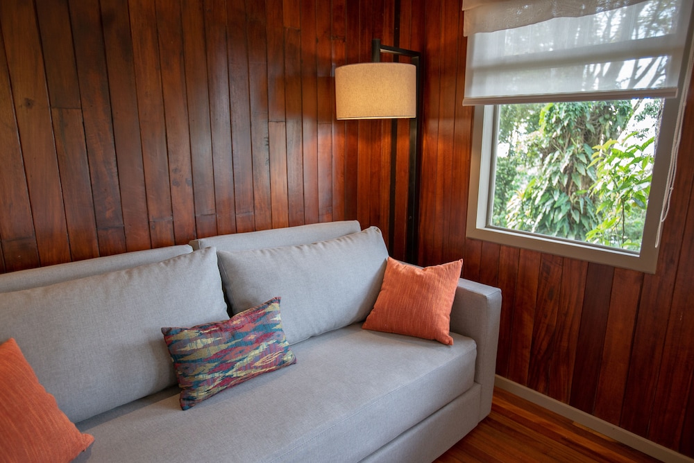 Premium Suite, 1 King Bed with Sofa bed, Non Smoking photo 3
