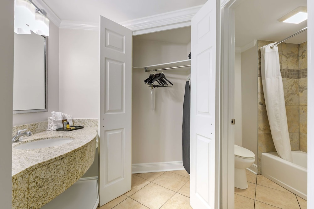 Standard Room, 1 King Bed, Non Smoking, Refrigerator & Microwave (with Sofabed) - Photo 6