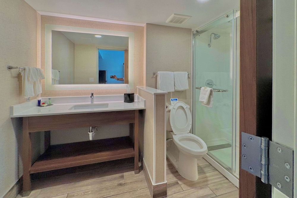 Suite, 1 King Bed, Non Smoking (Efficiency, Upgrade) - Photo 4