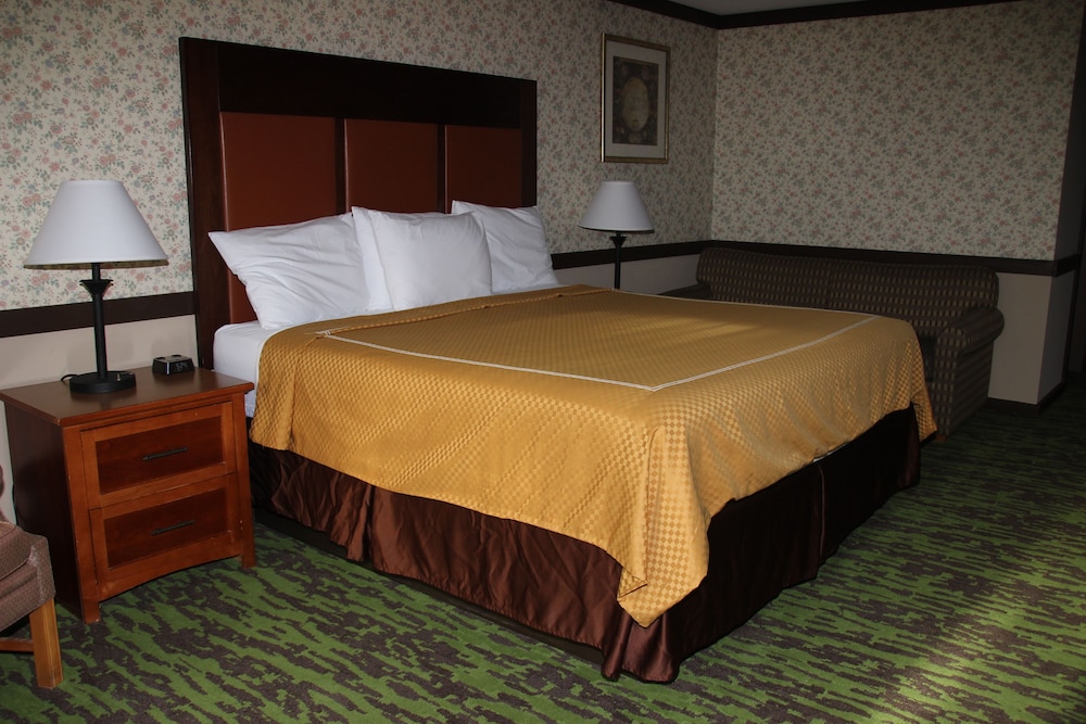 Classic Room, 1 King Bed, Refrigerator & Microwave photo 2