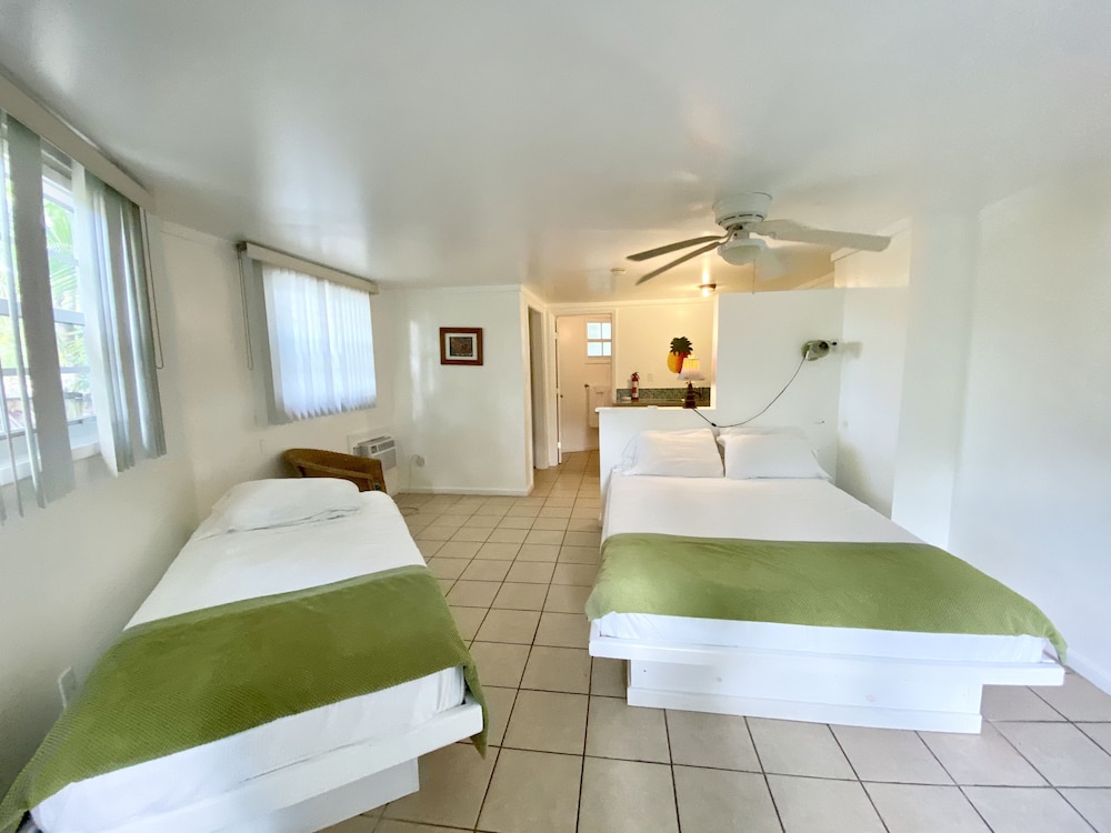 Classic Studio Suite, Multiple Beds, Refrigerator (STARFISH - BONEFISH) photo 3