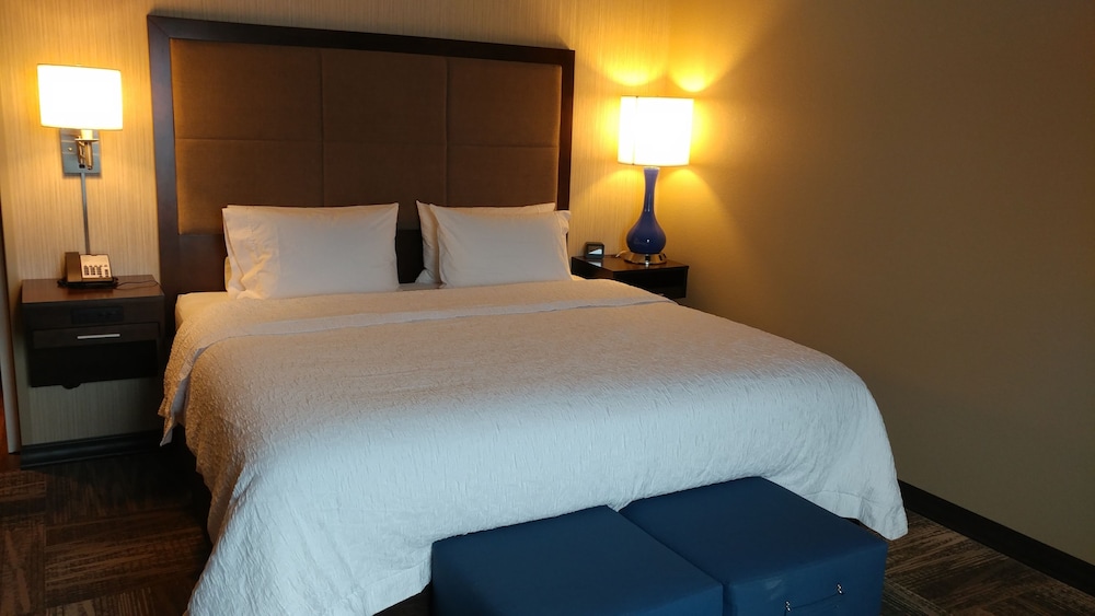 Room, 1 King Bed, Refrigerator photo 2