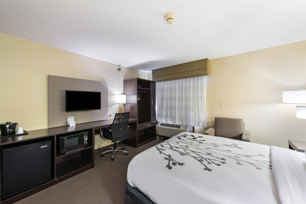 Room, 1 Queen Bed, Non Smoking/Accessible - Photo 1