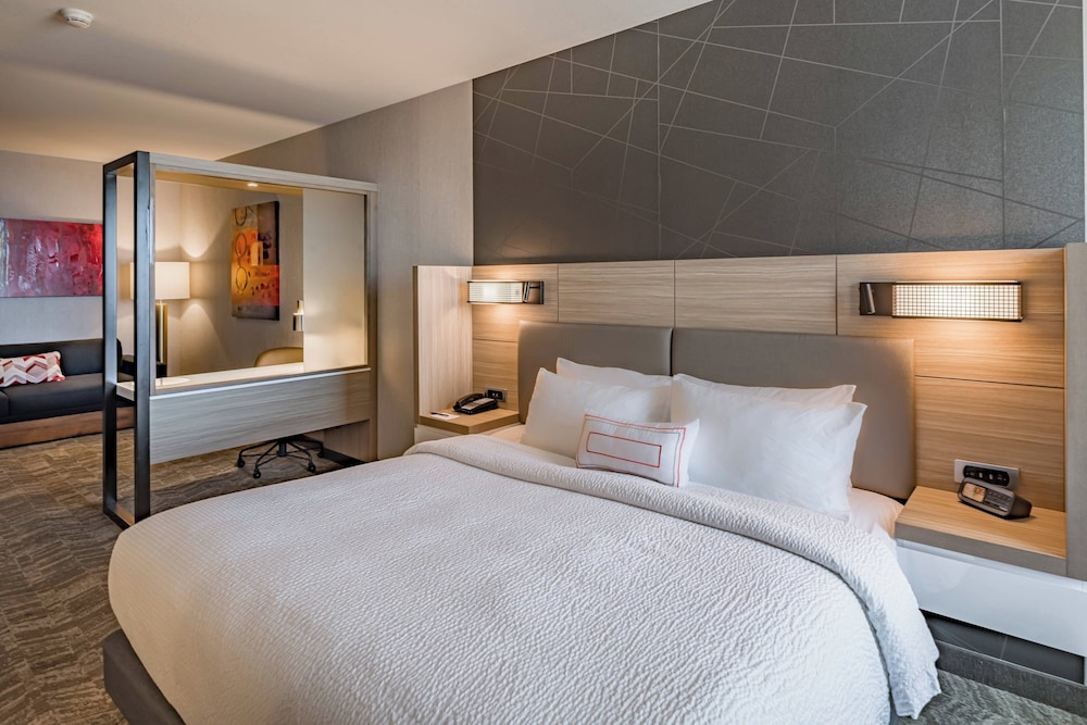 Suite, 1 King Bed with Sofa bed photo 1
