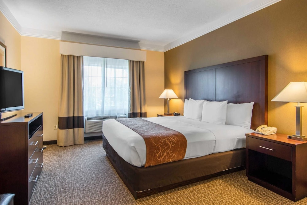 Suite, 1 King Bed, Non Smoking - Photo 3