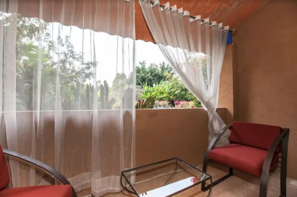 Suite (Laelia) photo 3