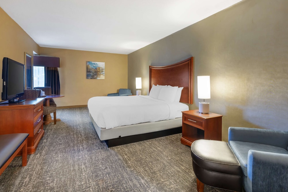 Suite, 1 King Bed, Non Smoking, Refrigerator & Microwave (With Sofabed) - Photo 1