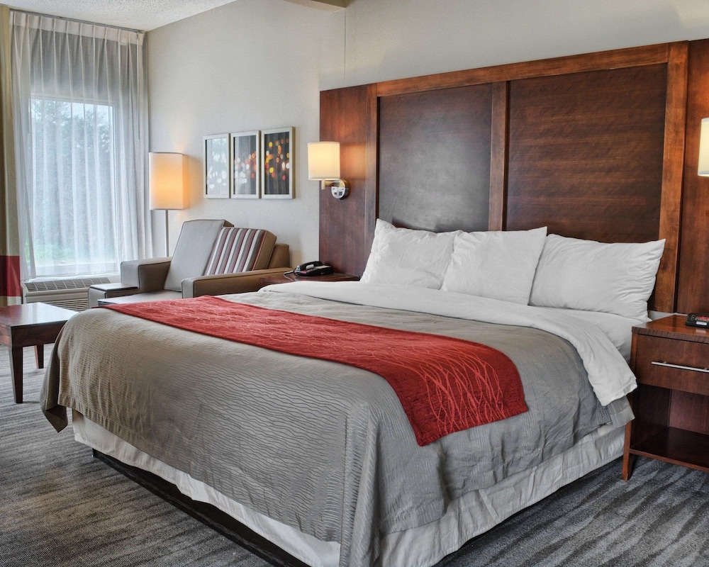 Suite, 1 King Bed with Sofa bed, Non Smoking - Photo 2