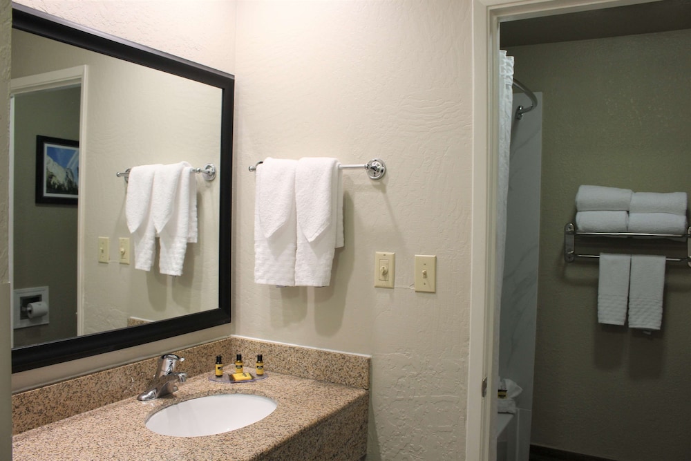 Standard Room, 1 King Bed, Non Smoking, Microwave (Oversized Room) - Photo 4