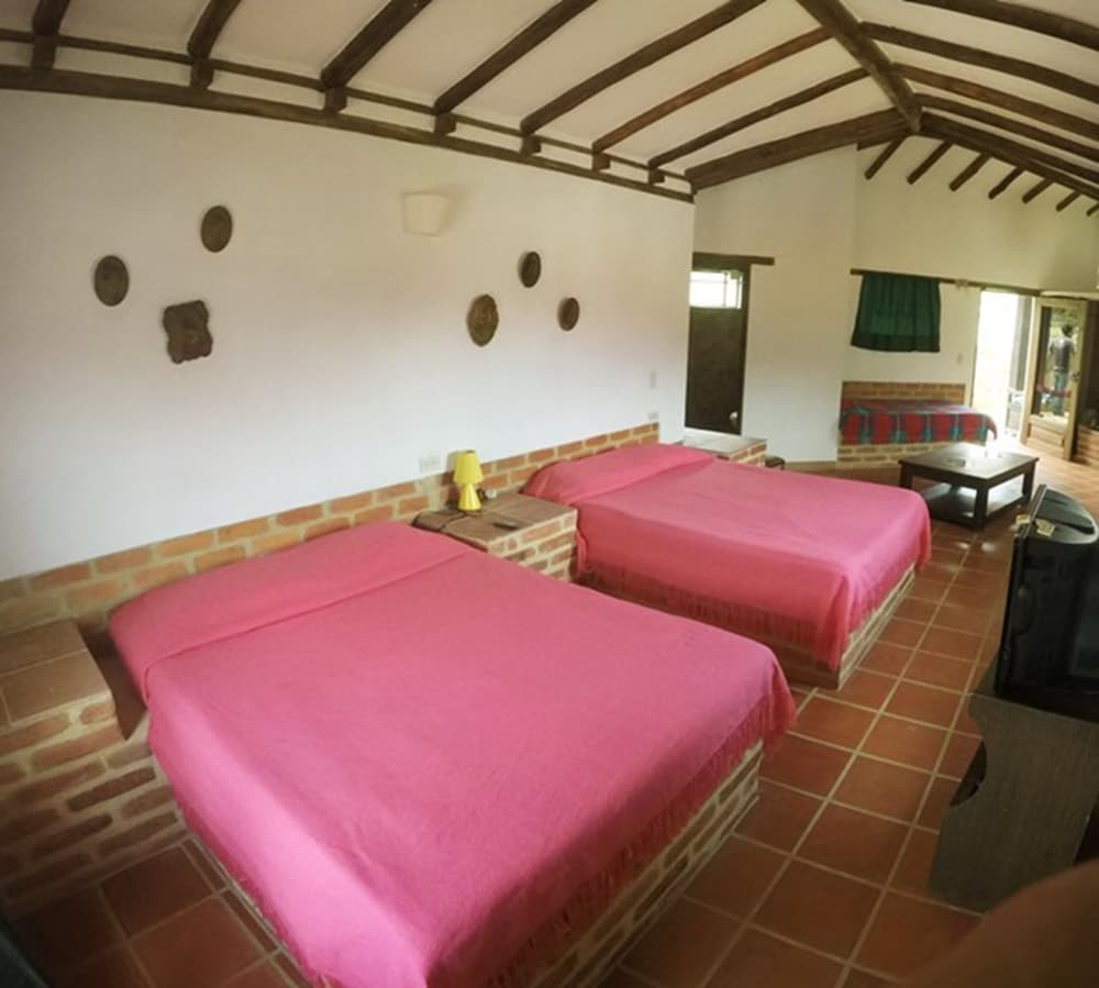 Standard Room, Mountain View