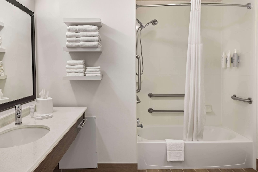 1 King Mobility Access Tub - Photo 5