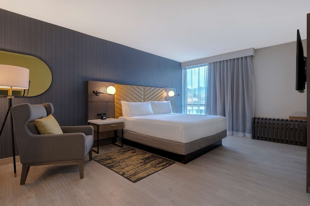 Suite, 1 King Bed - Photo 1