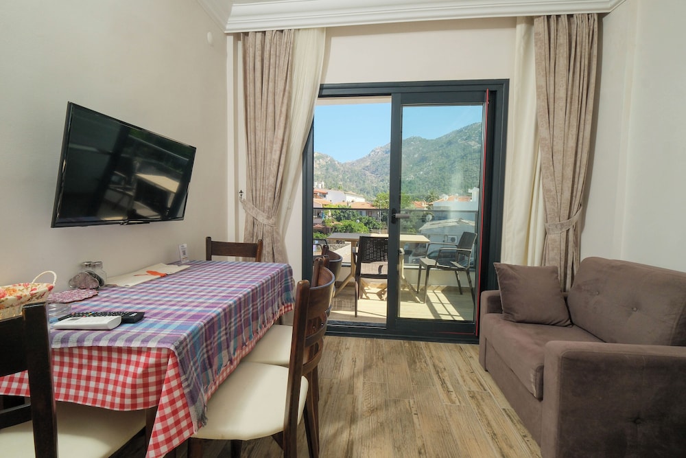 Junior Apartment, Kitchen, Mountain View