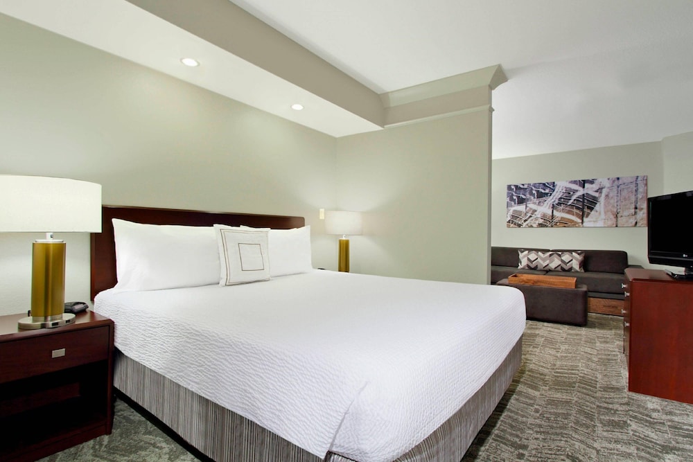 Studio Suite, 1 King Bed with Sofa bed (Hearing Accessible) - Photo 1