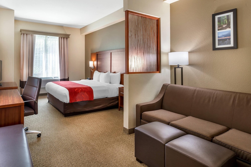 Suite, 1 King Bed with Sofa bed, Accessible, Non Smoking - Photo 1