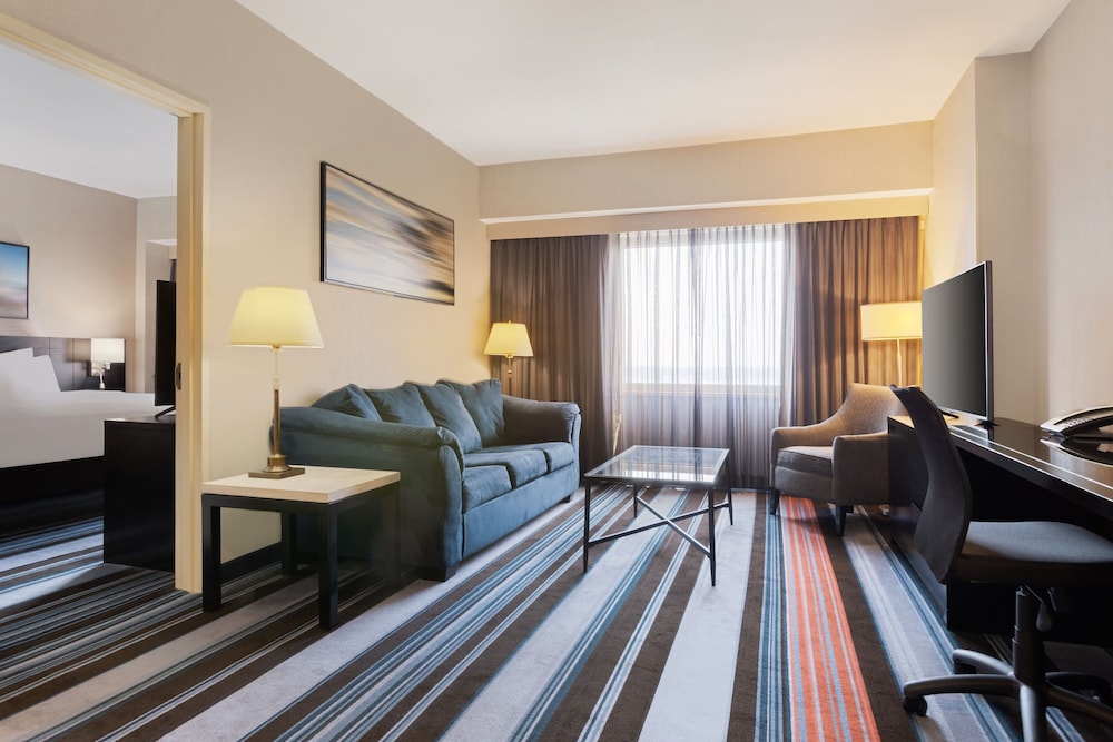 Suite, 1 King Bed with Sofa bed photo 3
