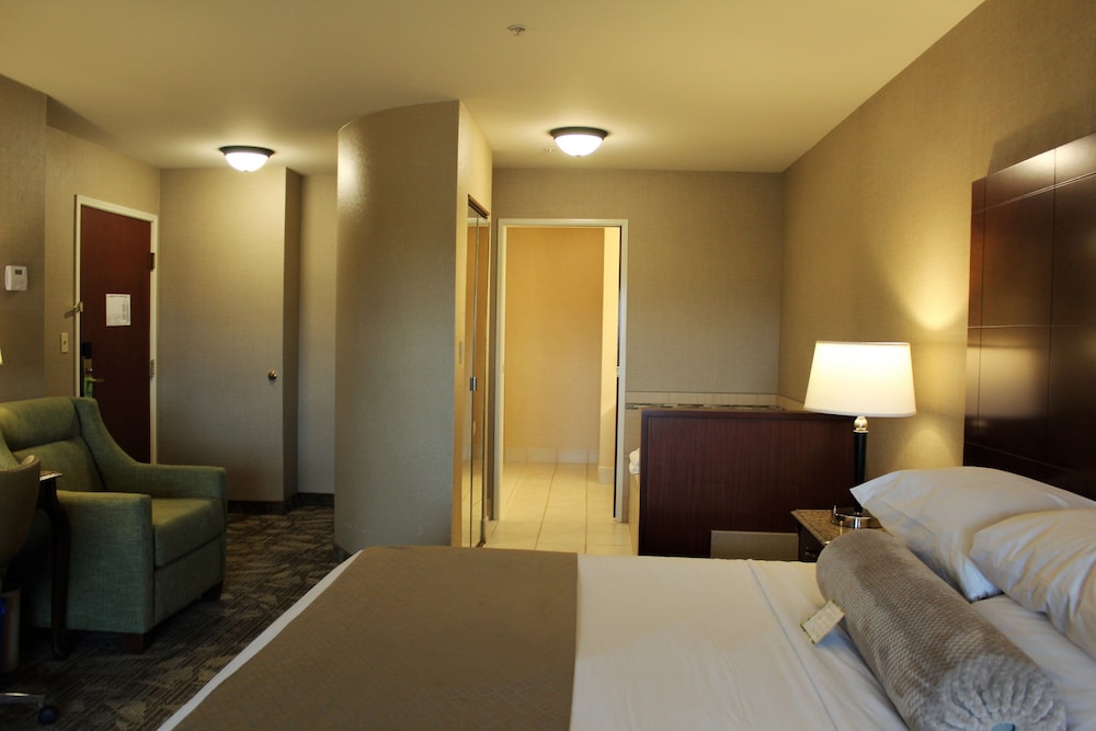 Premium Room, 1 King Bed, Jetted Tub photo 3