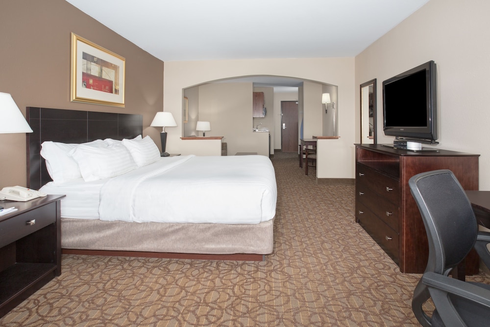 Suite, 1 King Bed, Accessible (Accessible Tub, Wet Bar) - Photo 1