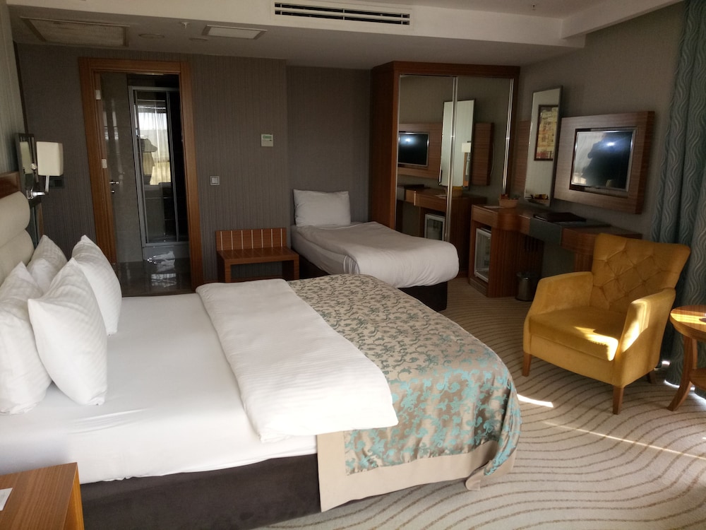 Deluxe Double Room, City View photo 3