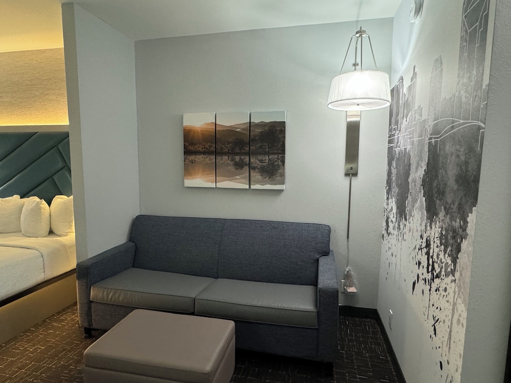 Presidential Suite, King Bed With Sofa Bed photo 3